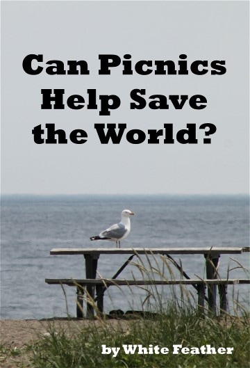 Can PIcnics Helps Save the World?
